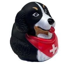Lade das Bild in den Galerie-Viewer, Badeente Berner Sennenhund