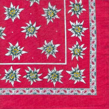 Lade das Bild in den Galerie-Viewer, Edelweisstuch 53cm