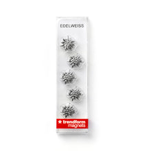 Lade das Bild in den Galerie-Viewer, Edelweiss Magnet silber