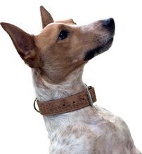 Lade das Bild in den Galerie-Viewer, Hundehalsband Scherenschnitt Swiss Made