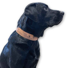 Lade das Bild in den Galerie-Viewer, Hundehalsband Scherenschnitt Swiss Made