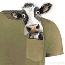 Lade das Bild in den Galerie-Viewer, T-Shirt mit Tier in der Tasche (Taschentier)