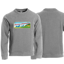 Charger l'image dans la galerie, Puloover Grau, Appenzell Ausserrhoden Wappen / Schild