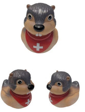 Lade das Bild in den Galerie-Viewer, Badeente Murmeltier