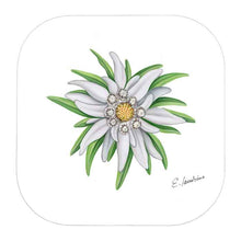 Lade das Bild in den Galerie-Viewer, Untersetzer Edelweiss