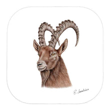 Charger l'image dans la galerie, Dessous de verre Capricorne