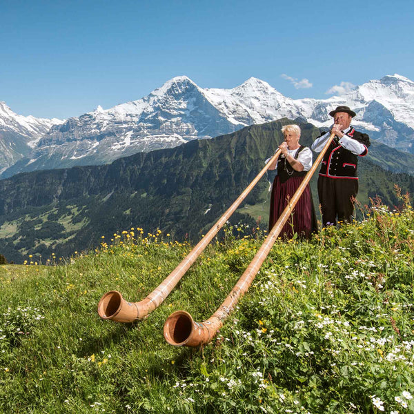 50+ Sehenswürdigkeiten der Schweiz