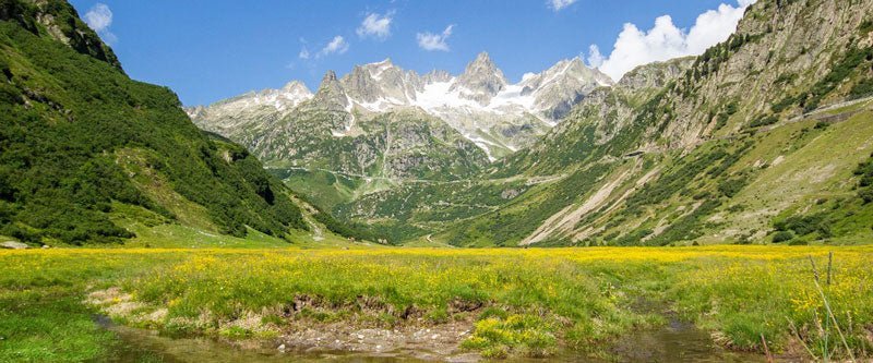 Schweizer Berghilfe - Mit der Gemeinschaftskäserei hat die Urner Alp eine Zukunft