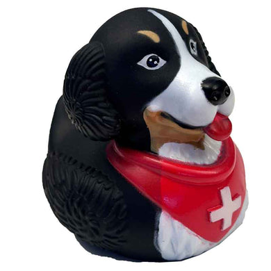 Badeente Berner Sennenhund