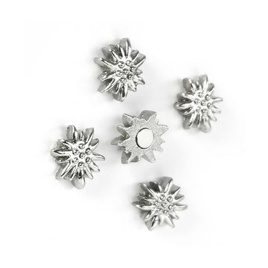 5er Set Edelweiss Magnet silber