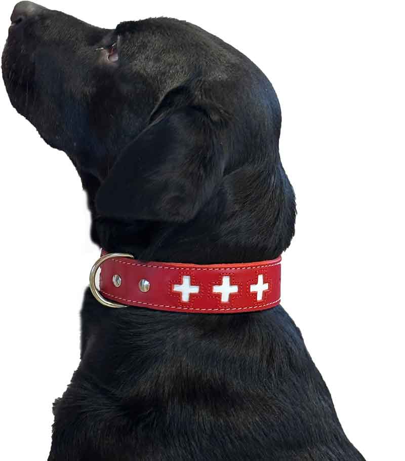 Hundehalsband 🇨🇭Schweizerkreuz Swiss Made|Landjäger.ch