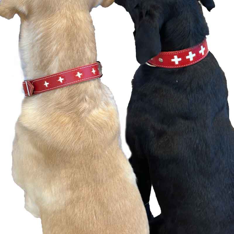 Hundehalsband Schweizerkreuz Swiss Made|Landjger.ch