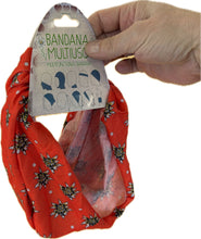 Load image into Gallery viewer, Edelweiss Bandana

