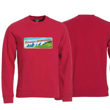 Lade das Bild in den Galerie-Viewer, Pullover Rot, Appenzell Ausserrhoden Wappen / Schild
