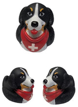 Lade das Bild in den Galerie-Viewer, Badeente Berner Sennenhund
