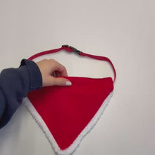 Carica e avvia il video nel visualizzatore di galleria, Abbigliamento natalizio per cani
