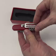 Load and play video in Gallery viewer, Picnic tool &quot;Switzerland&quot; with cutlery
