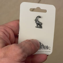 Carica e avvia il video nel visualizzatore di galleria, Spillo Capricorno
