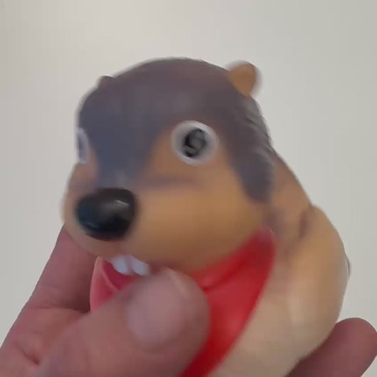 Badeente Murmeltier
