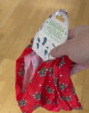 Load and play video in Gallery viewer, Edelweiss Bandana
