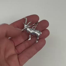 Carica e avvia il video nel visualizzatore di galleria, Schlüsselanhänger Steinbock

