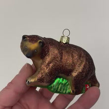 Laden und Abspielen von Videos im Galerie-Viewer, Weihnachts &quot;Kugel&quot; Braunbär
