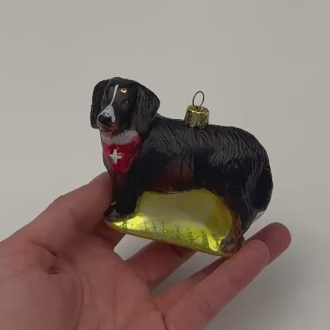 Weihnachts "Kugel" Bernersennenhund