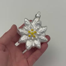 Charger et lire la vidéo dans la visionneuse de la Galerie, Weihnachts &quot;Kugel&quot; Edelweiss
