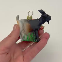 Charger et lire la vidéo dans la visionneuse de la Galerie, Weihnachts &quot;Kugel&quot; Ziege

