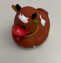 Charger et lire la vidéo dans la visionneuse de la Galerie, Baignier de canard brun avec croix suisse

