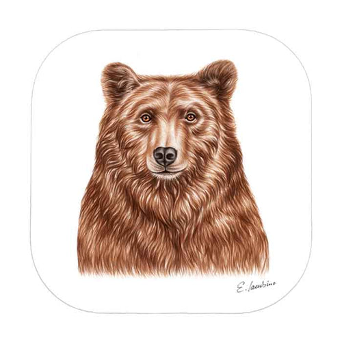 Dessous de verre Ours