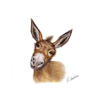 Dessous de verre âne