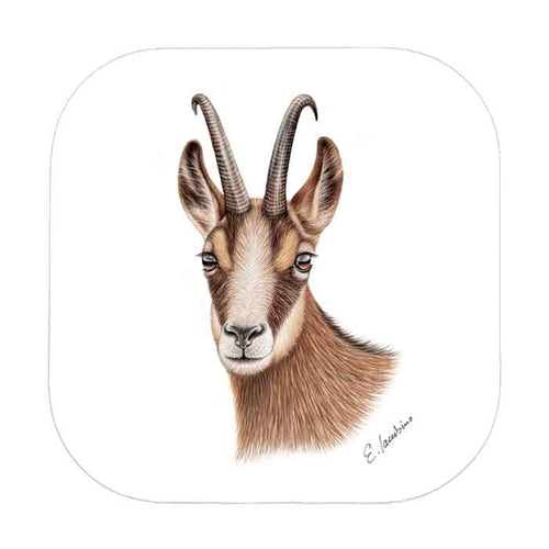 Dessous de verre Gams