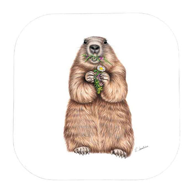 Dessous de verre Marmotte