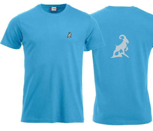 T-shirt premium unisexe turquoise