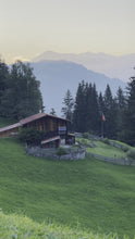 Carica e avvia il video nel visualizzatore di galleria, Felpa con cappuccio Landjäger Edelweiss Rosso
